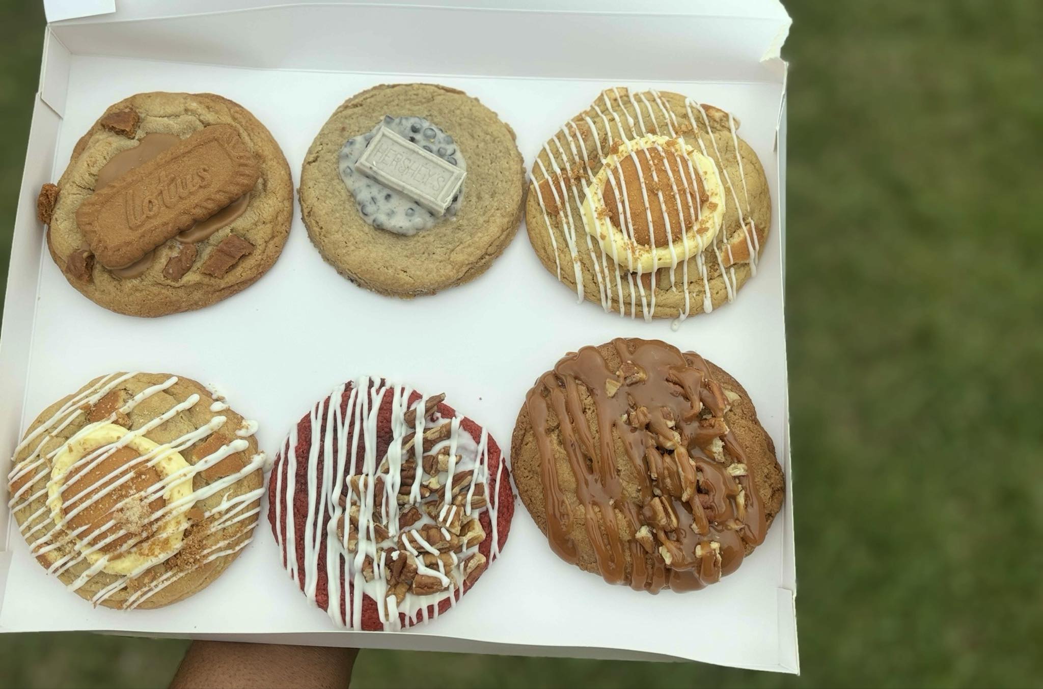 1/2 dozen Varity Pack (6)
