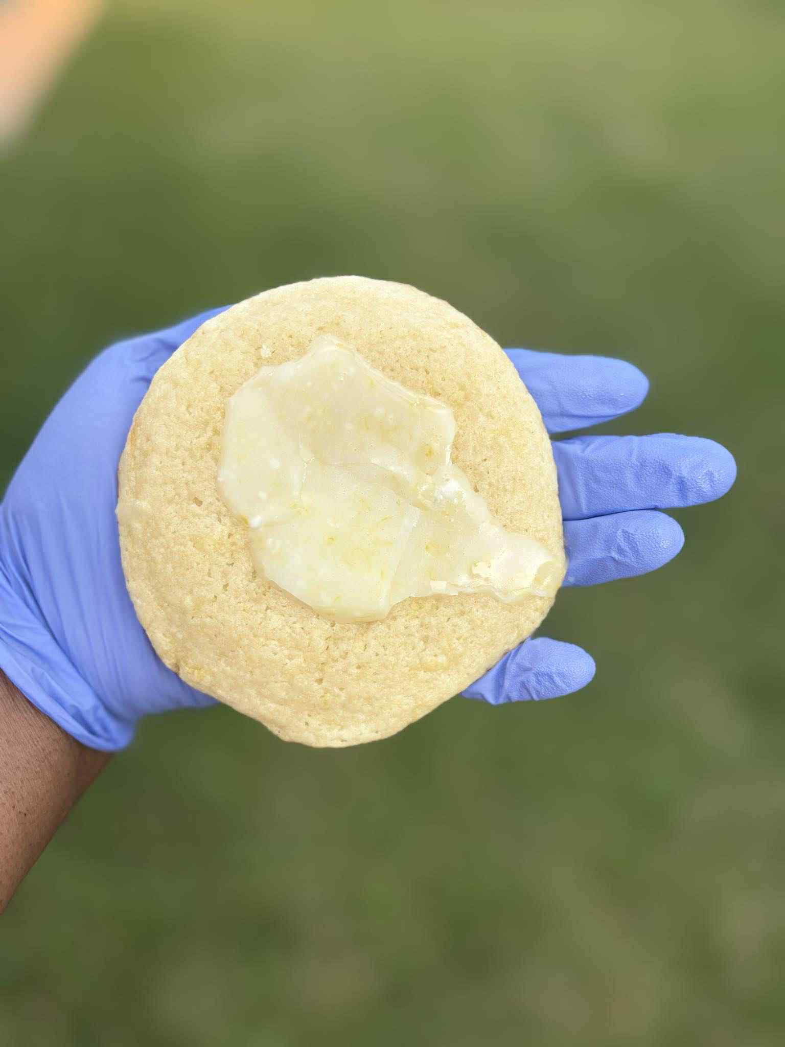 Lemon Cookie