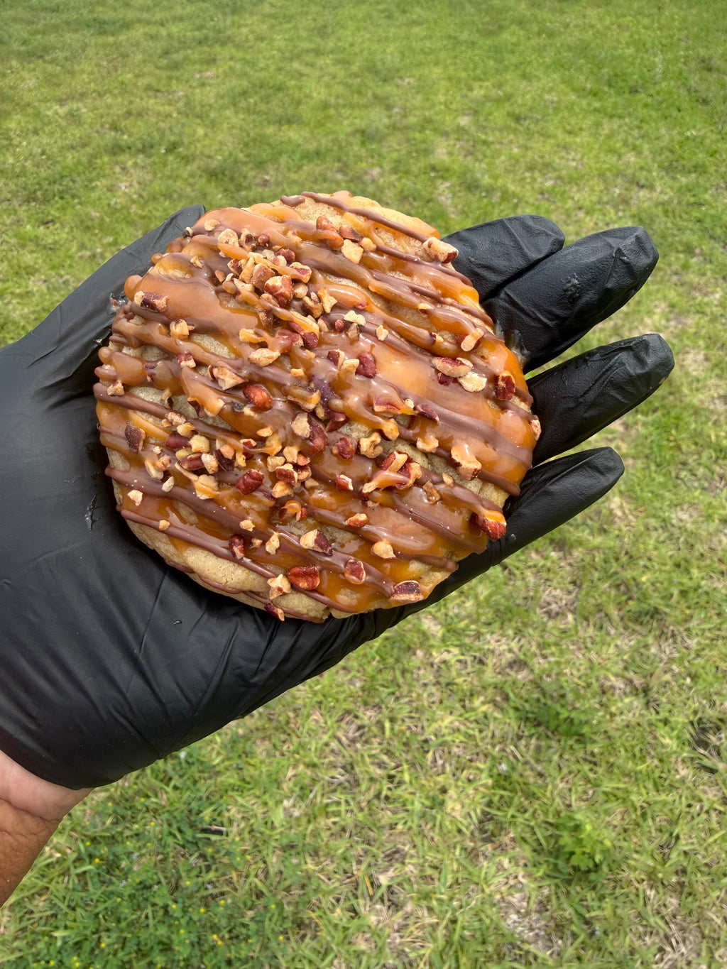 Turtle Cookie