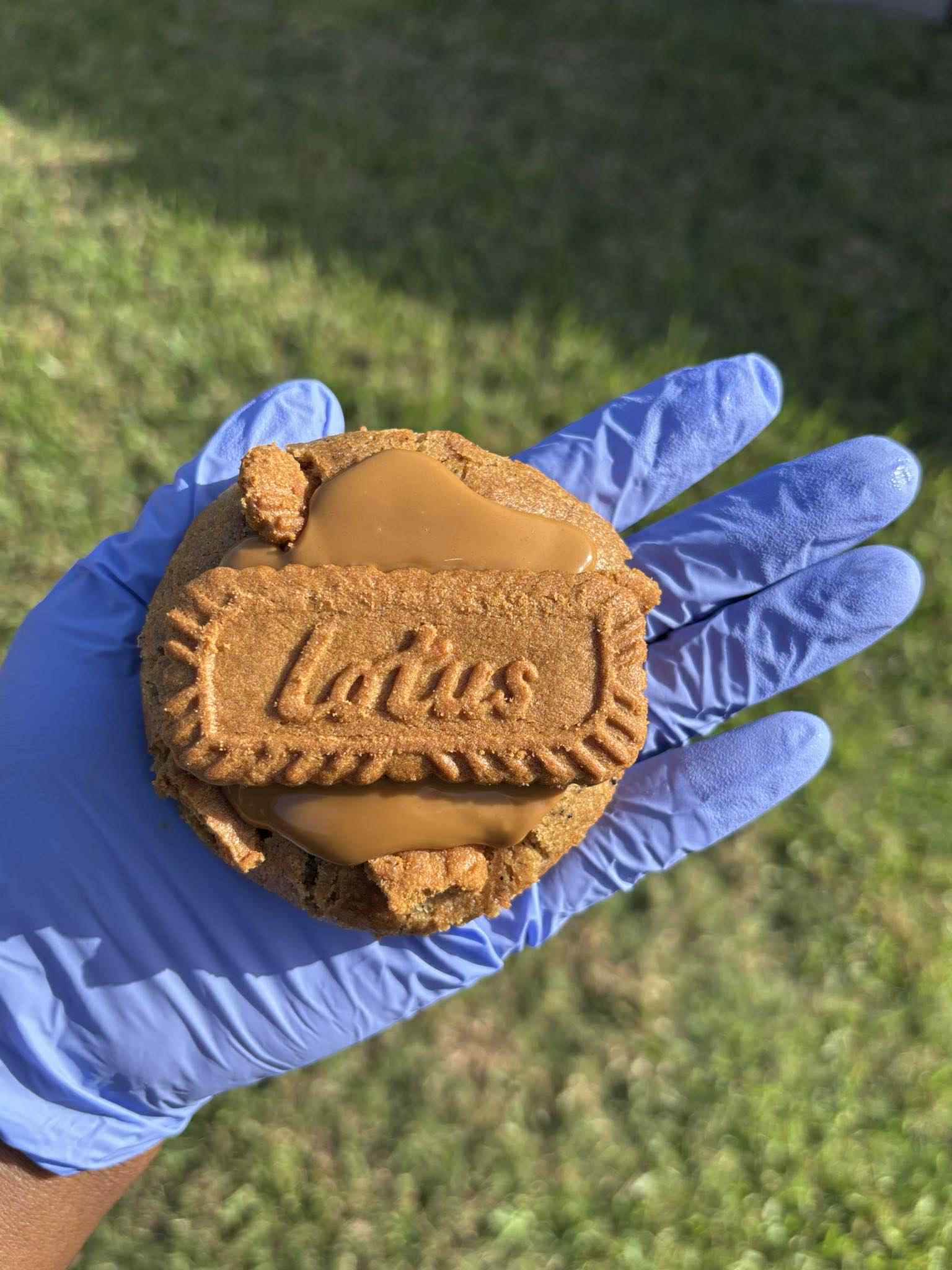 Biscoff Cookie