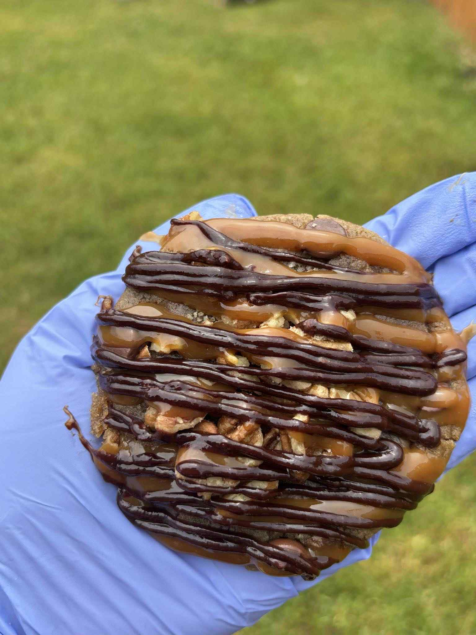 Turtle Cookie